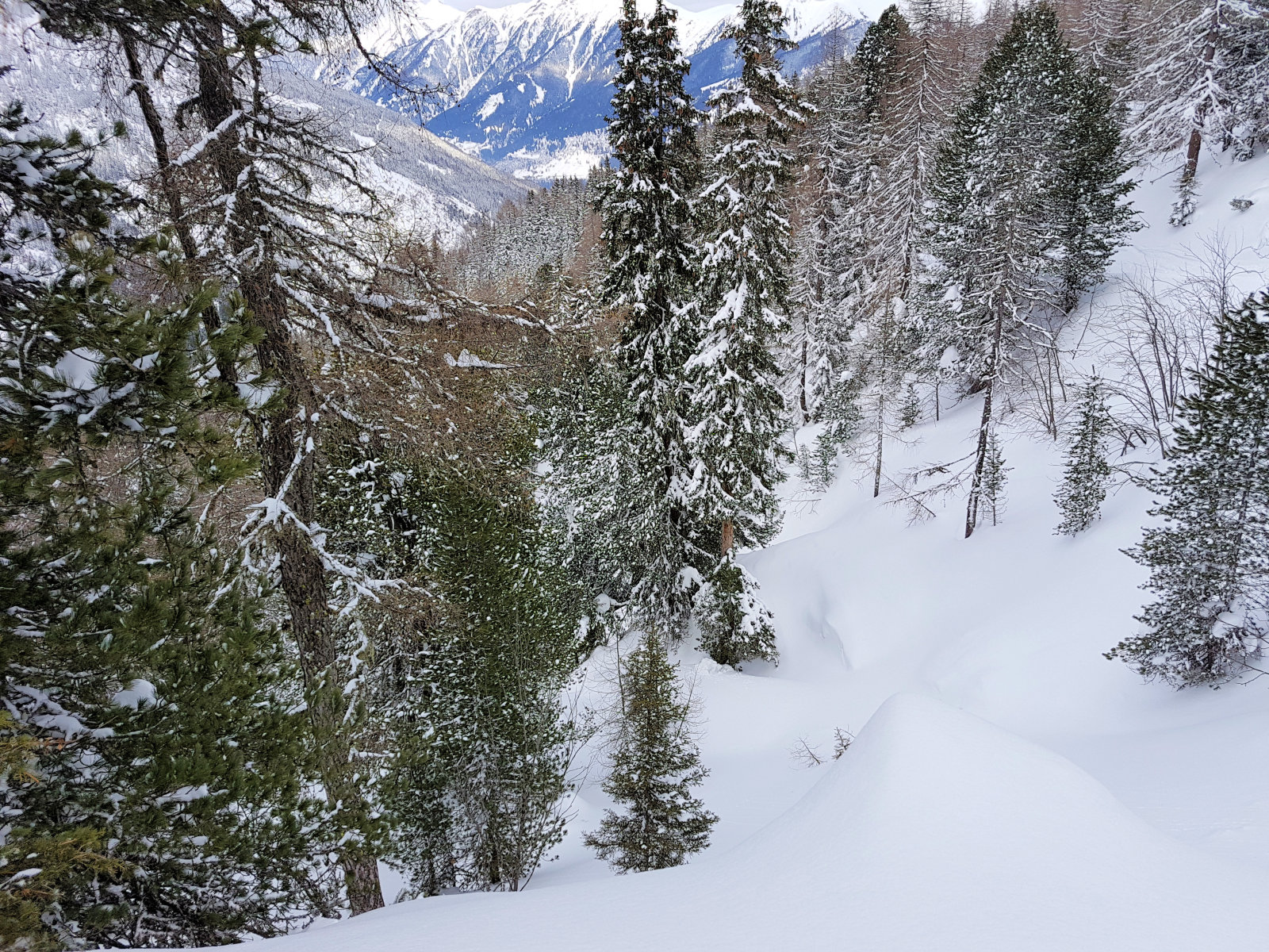 Sportgastein, északi oldal, letérés az erdőbe