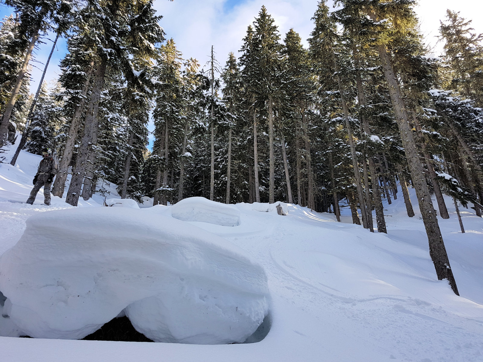 Sportgastein, északi oldal, az erdőben