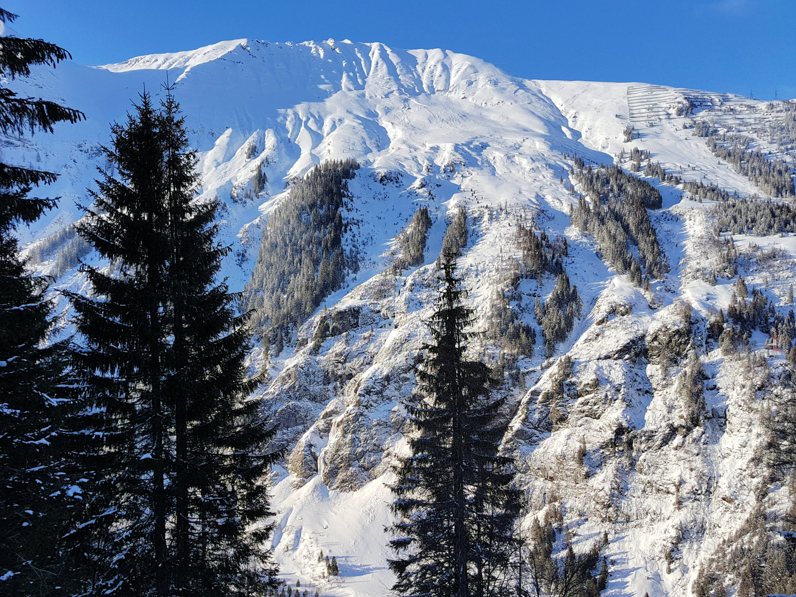 Sportgastein, északi oldal, az erdőben