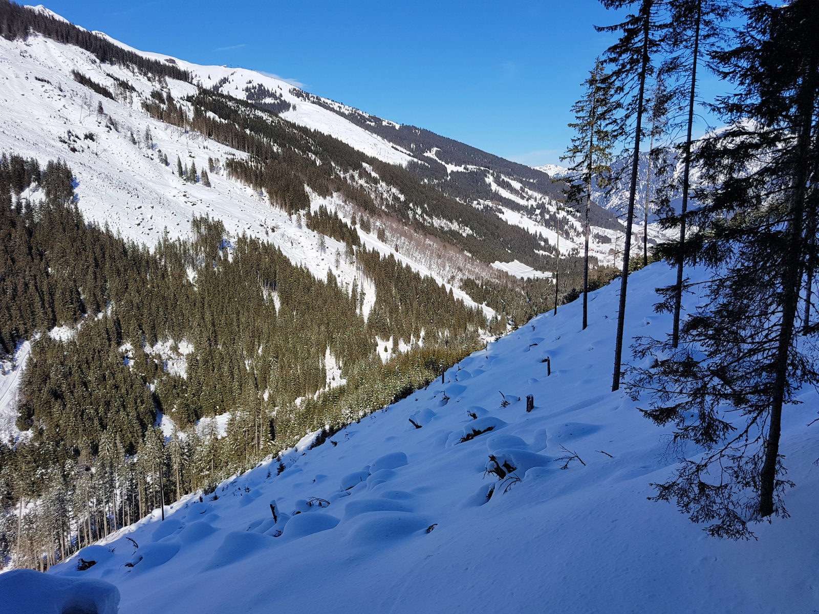 Angertal hátsó, a duzzasztó feletti tisztás jobb oldalán