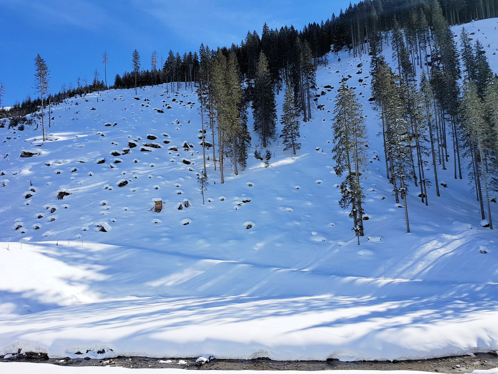 Angertal hátsó, a duzzasztó feletti tisztások