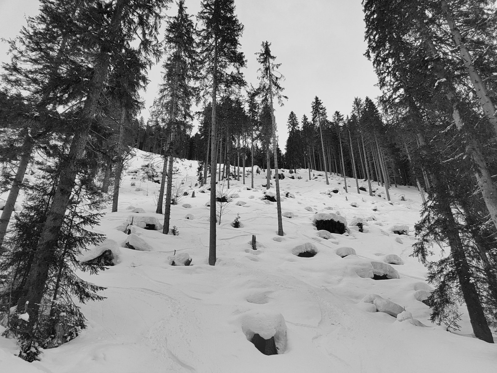 "Old man's snowpark"