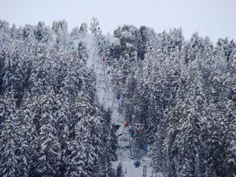 színes kabinok(Le Foret)