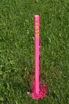 az új pilonok helye