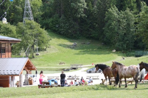 Le Foret Courchevel-La Tania