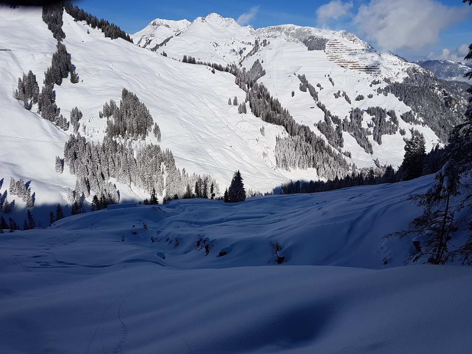 Reiterkogel északi oldal a felvonó közelében