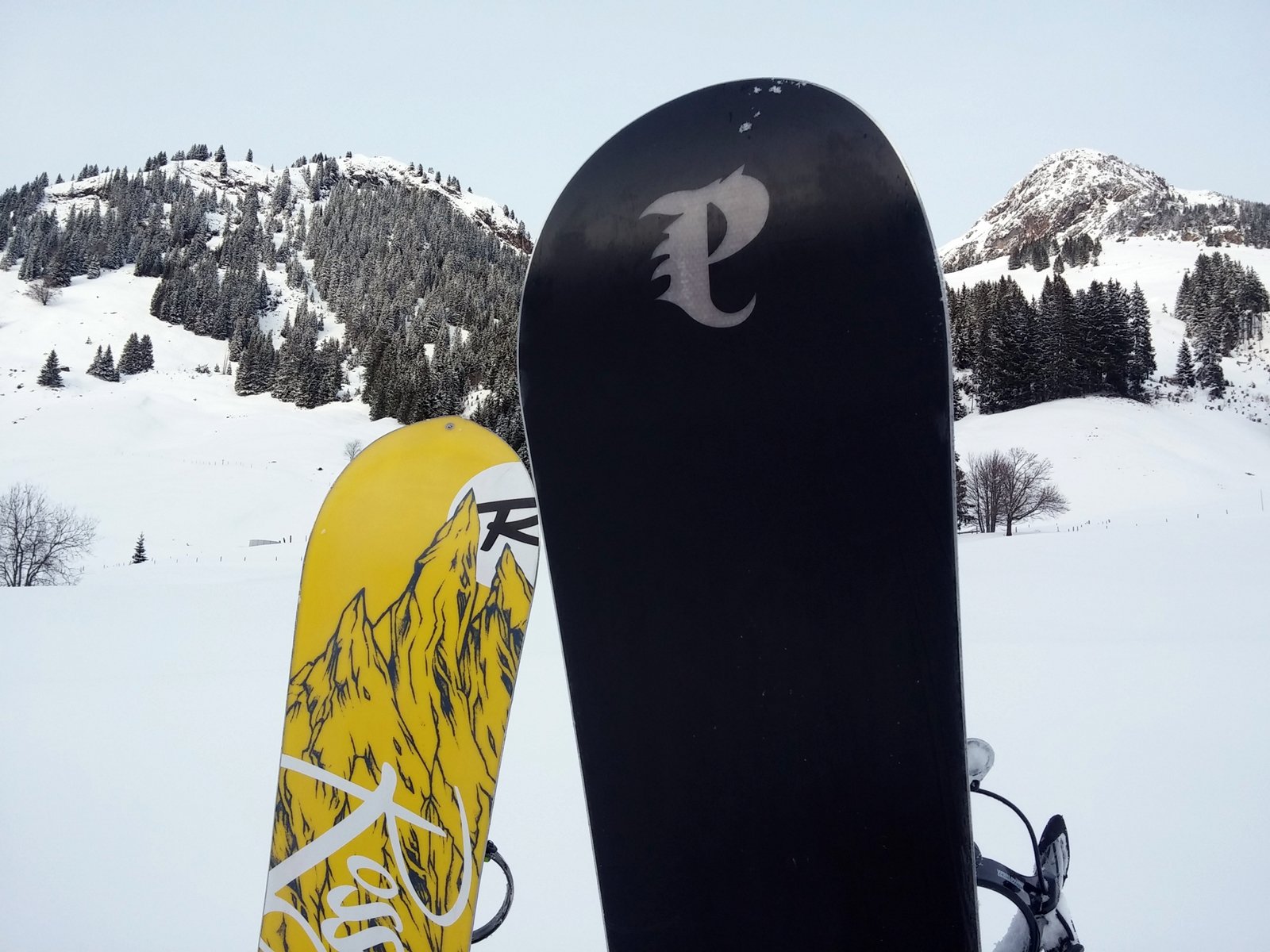 Rossignol Magtek XV 163cm (2015) és Palmer Honeycomb 164cm (2013)