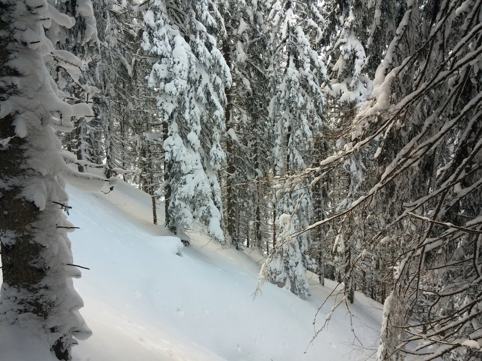 A lejtés is megfelelő.