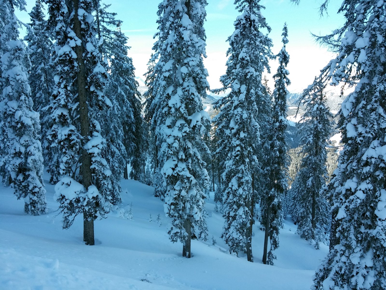 A bőség zavara: szabadon választhattuk meg, hogy honnan induljunk és sehol egy nyom.