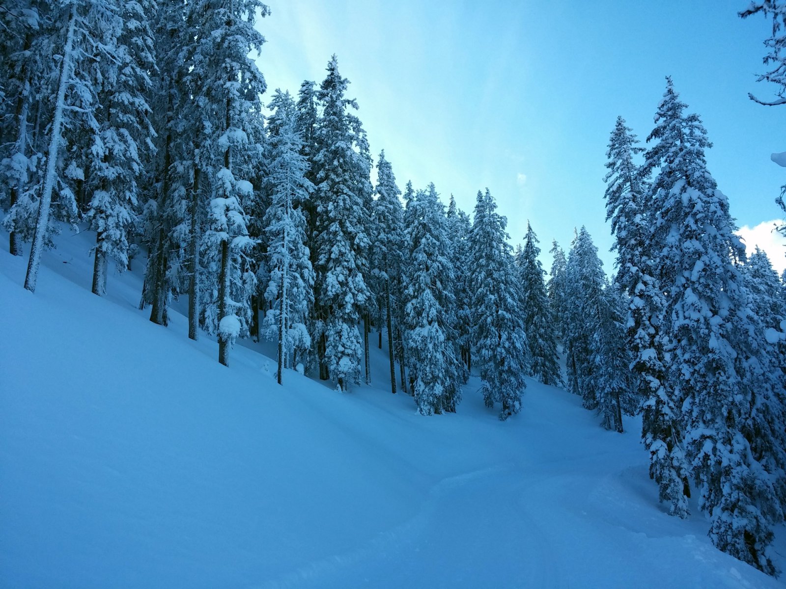 A sífutóúton kicsit felgyalogolva szinte mindenhol érintetlen volt még a terep.