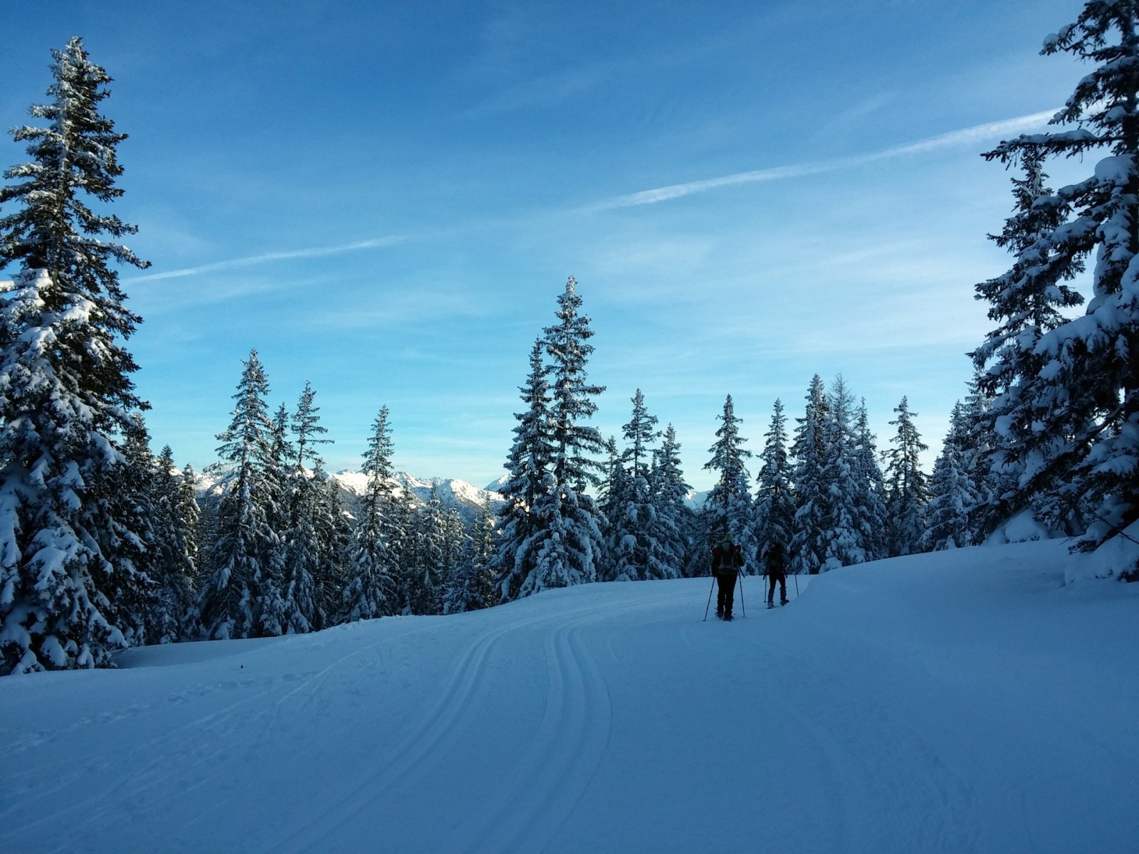 Az utolsó csúszás előtt a régi sífutóúton indultam el, de már egyedül.