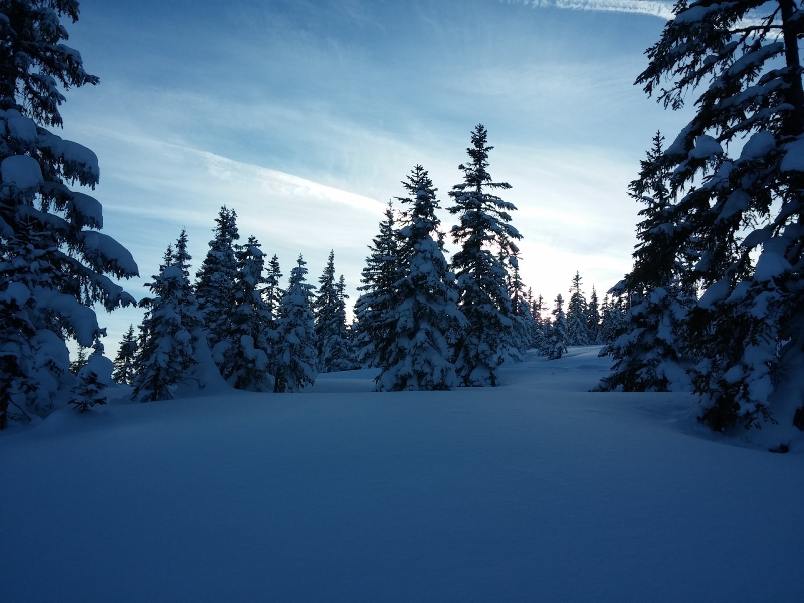 A legszebb arcát mutatta a téli erdő.