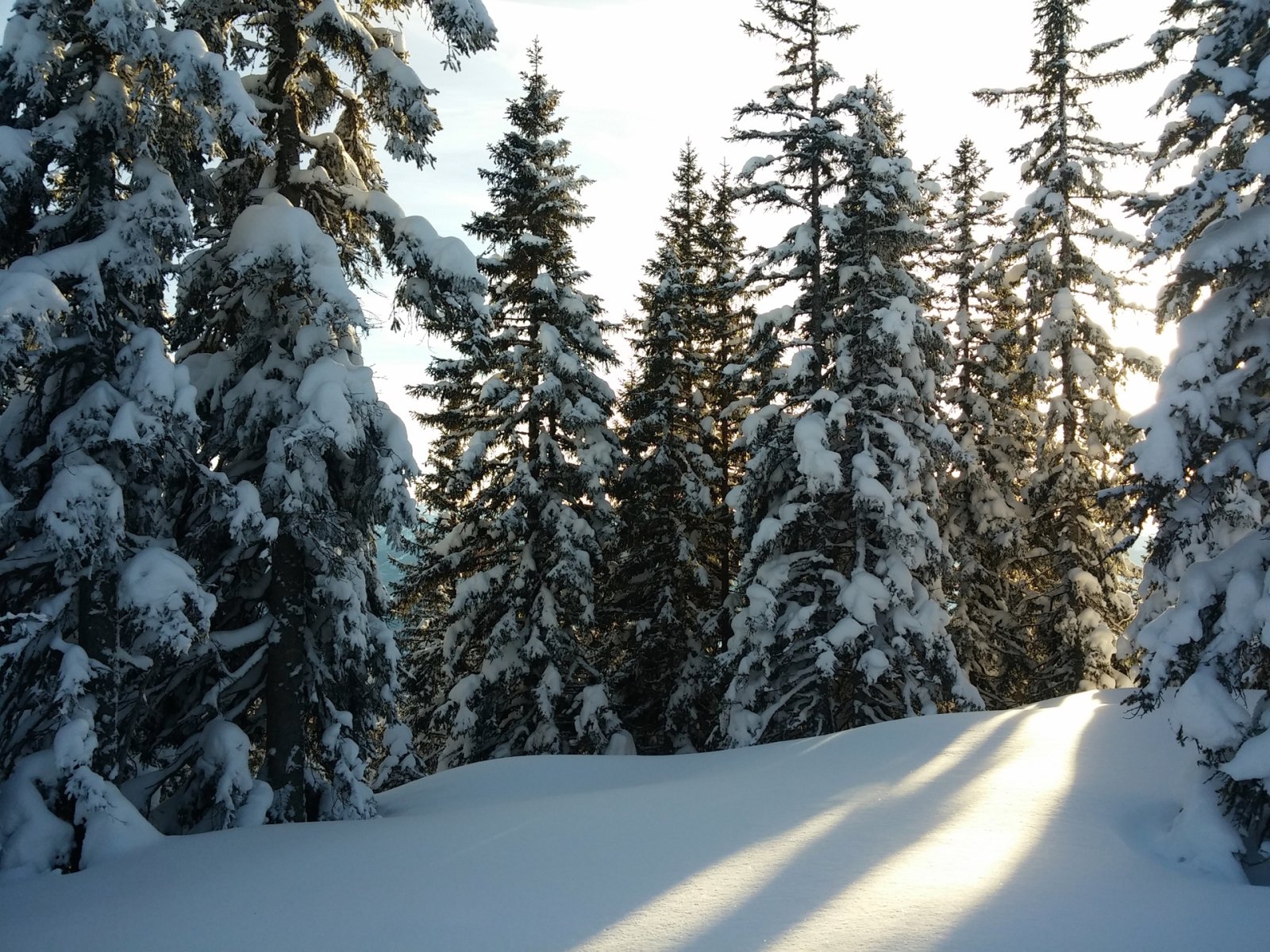 Már ezért megérte.