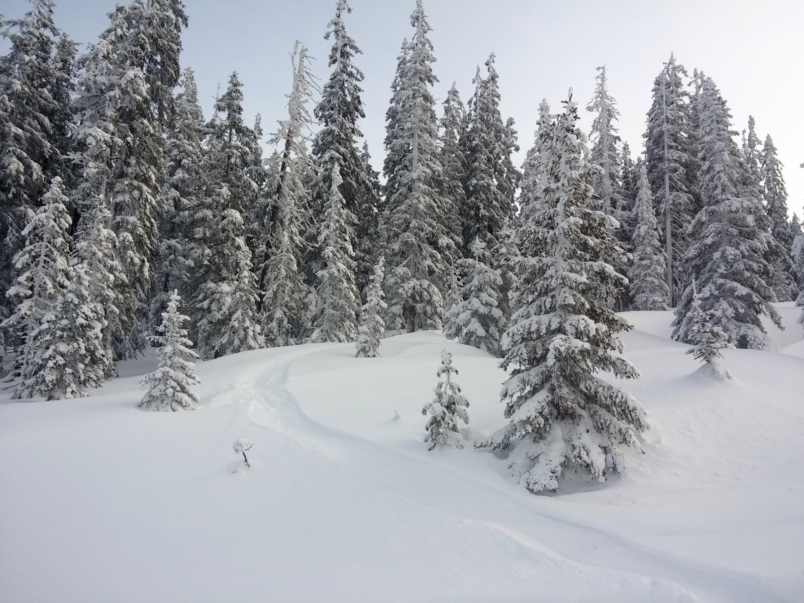 Megtaláltuk a tegnapi utolsó csúszásom nyomát.