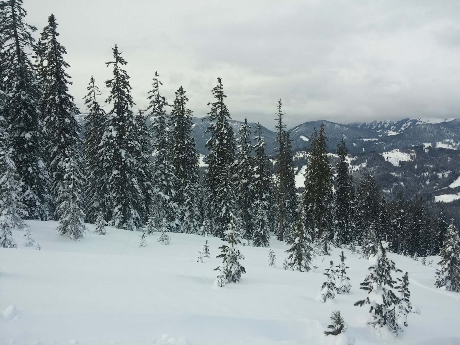 A legtávolabbi tisztás. Innen indulva teljesen el lehet kerülni a patakokat.