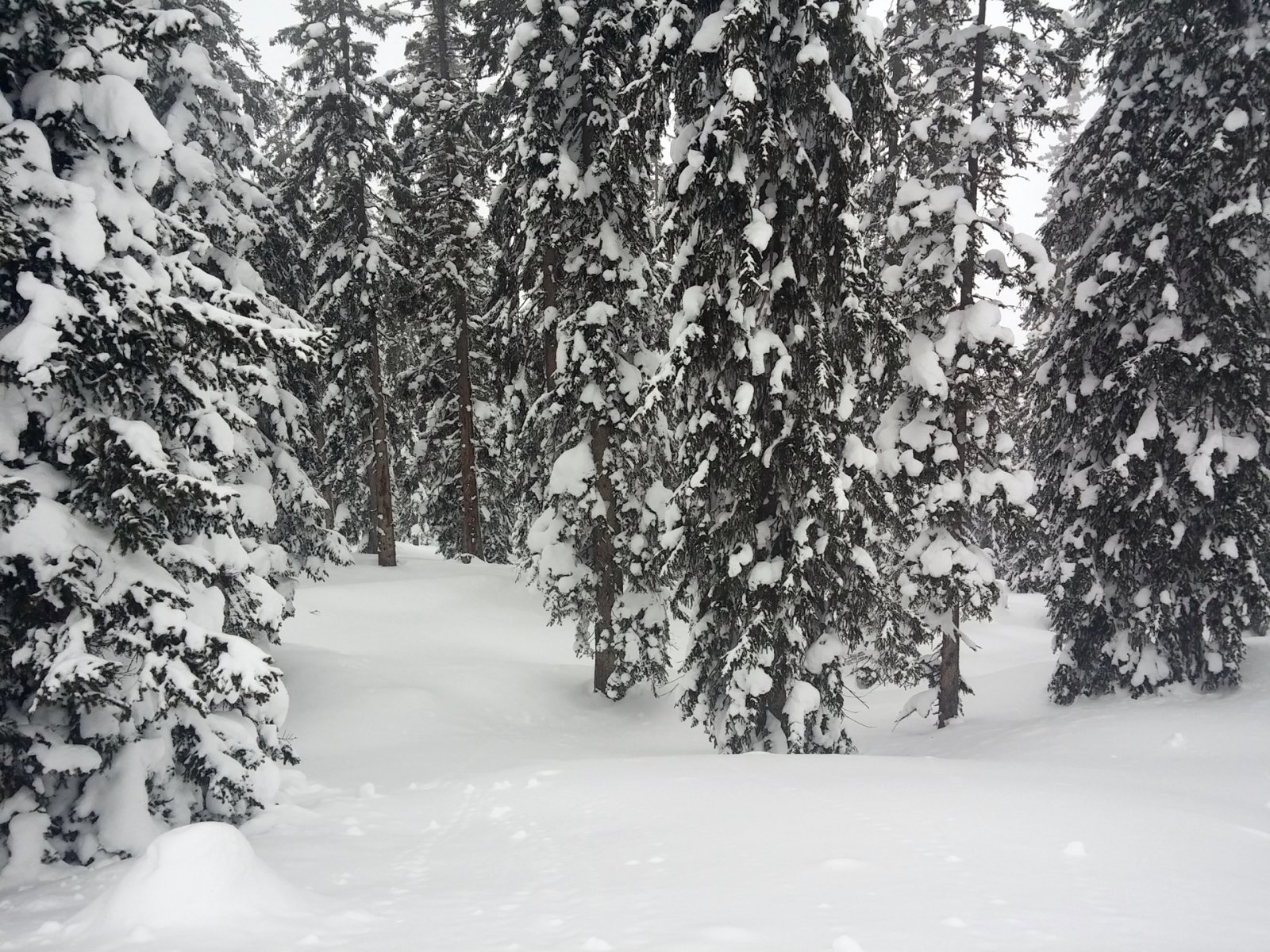 Az utolsó csúszás előtt.