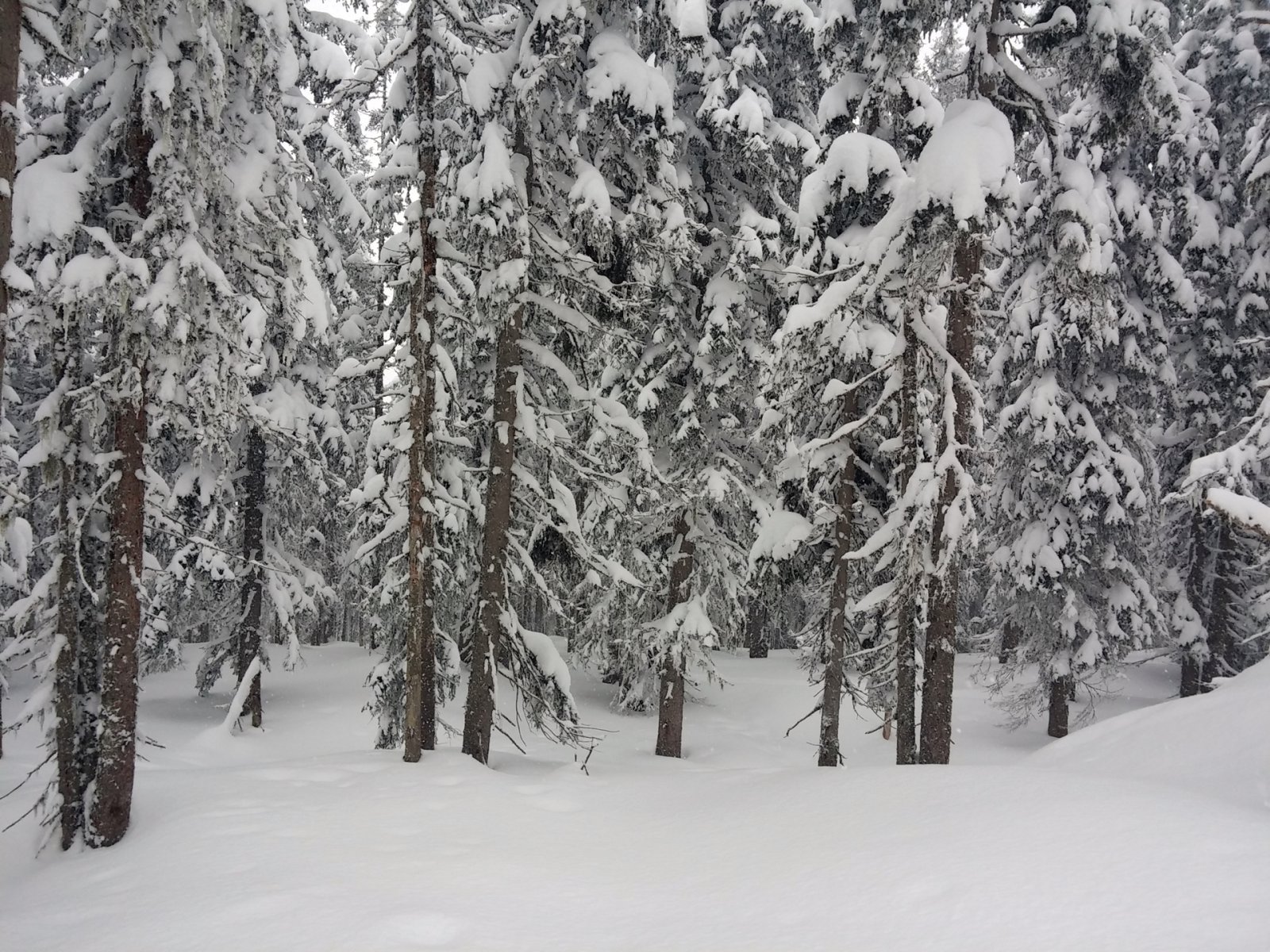 Itt most nem térek le, mert van jobb.