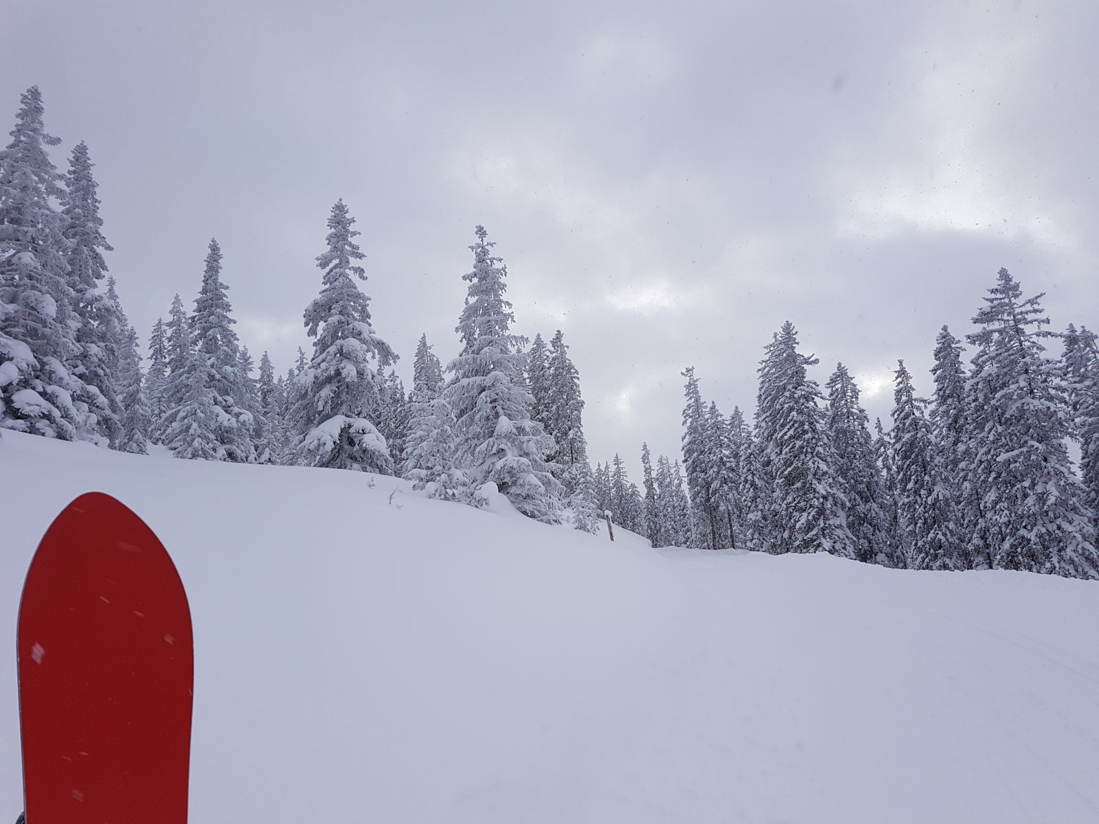 Az utolsó csúszás