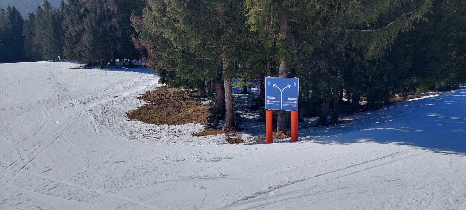 20230304-105246.jpg