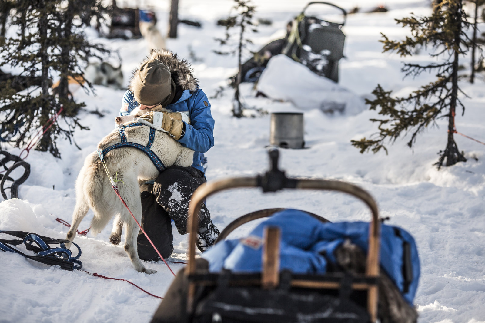 A kalandtúra egy hétköznapi embereknek szóló, különleges természetközeli élmény.