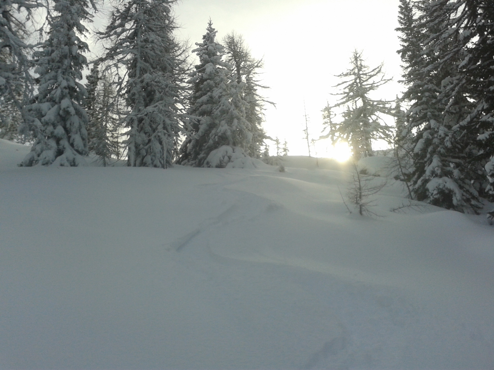 Porhó az árnyékban