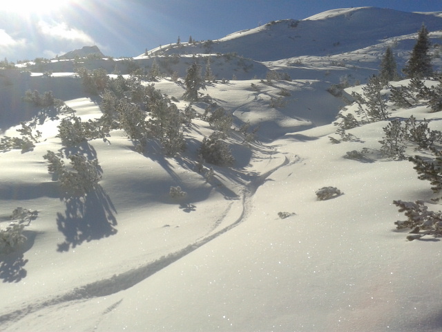 Szabadidőben: freeride