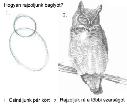 hogyan....jpg