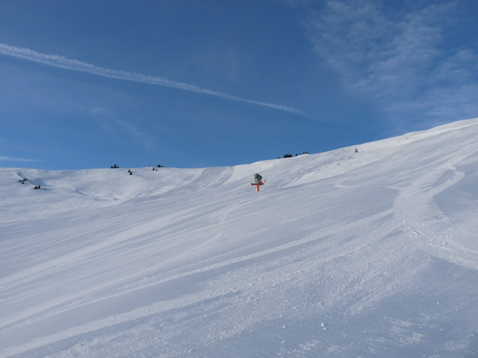 P1040835.JPG