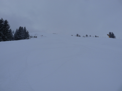 P1050027.JPG