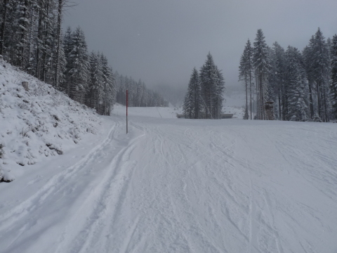 P1050037.JPG