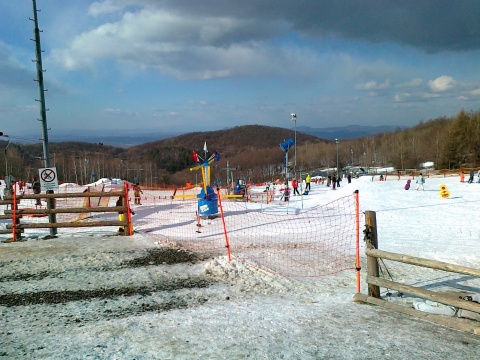 20110306105.jpg