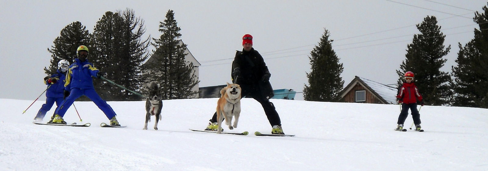 DSCN7671.JPG