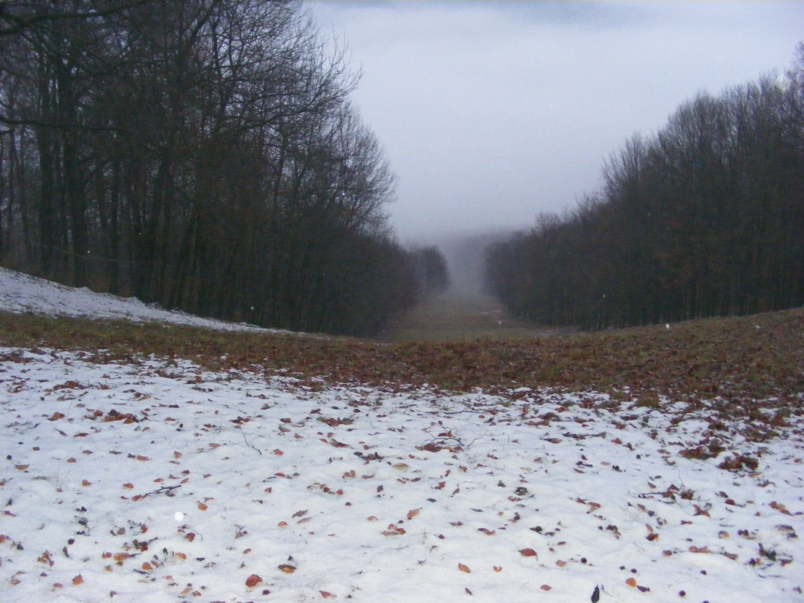 Dobogoko-2011-12.03-001.jpg