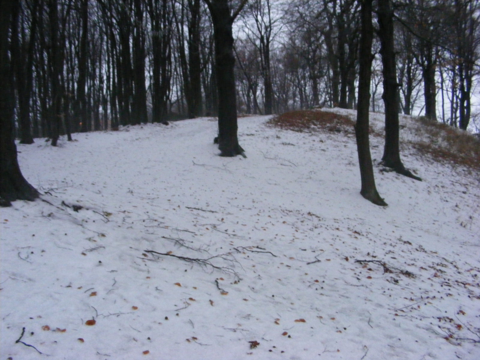 Dobogoko-2011-12.03-004.jpg