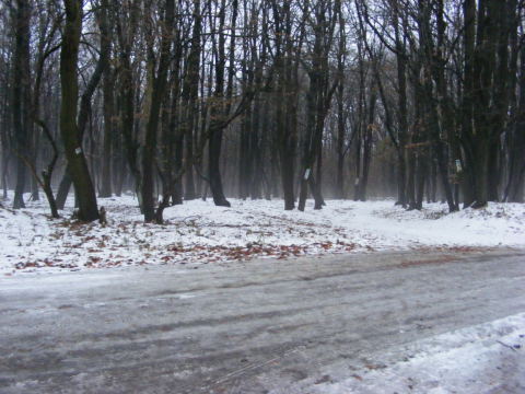 Dobogoko-2011-12.03-009.jpg