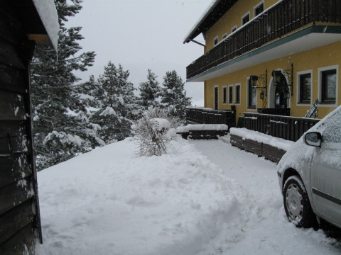IMG-0506.jpg