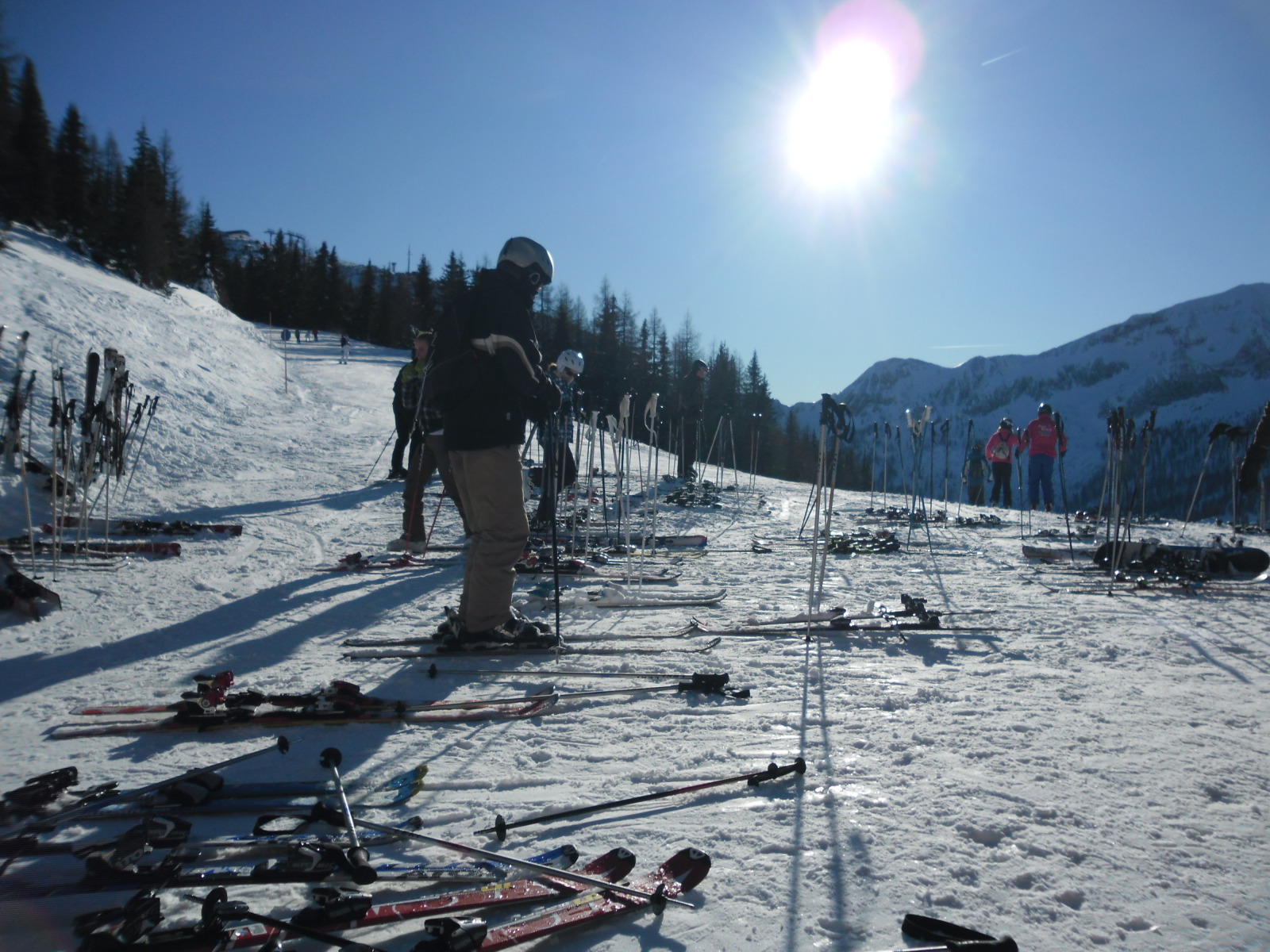 Bottól az erdőt...