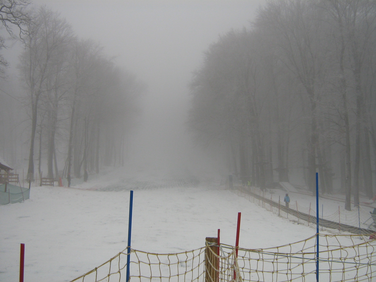 IMG-2638.JPG