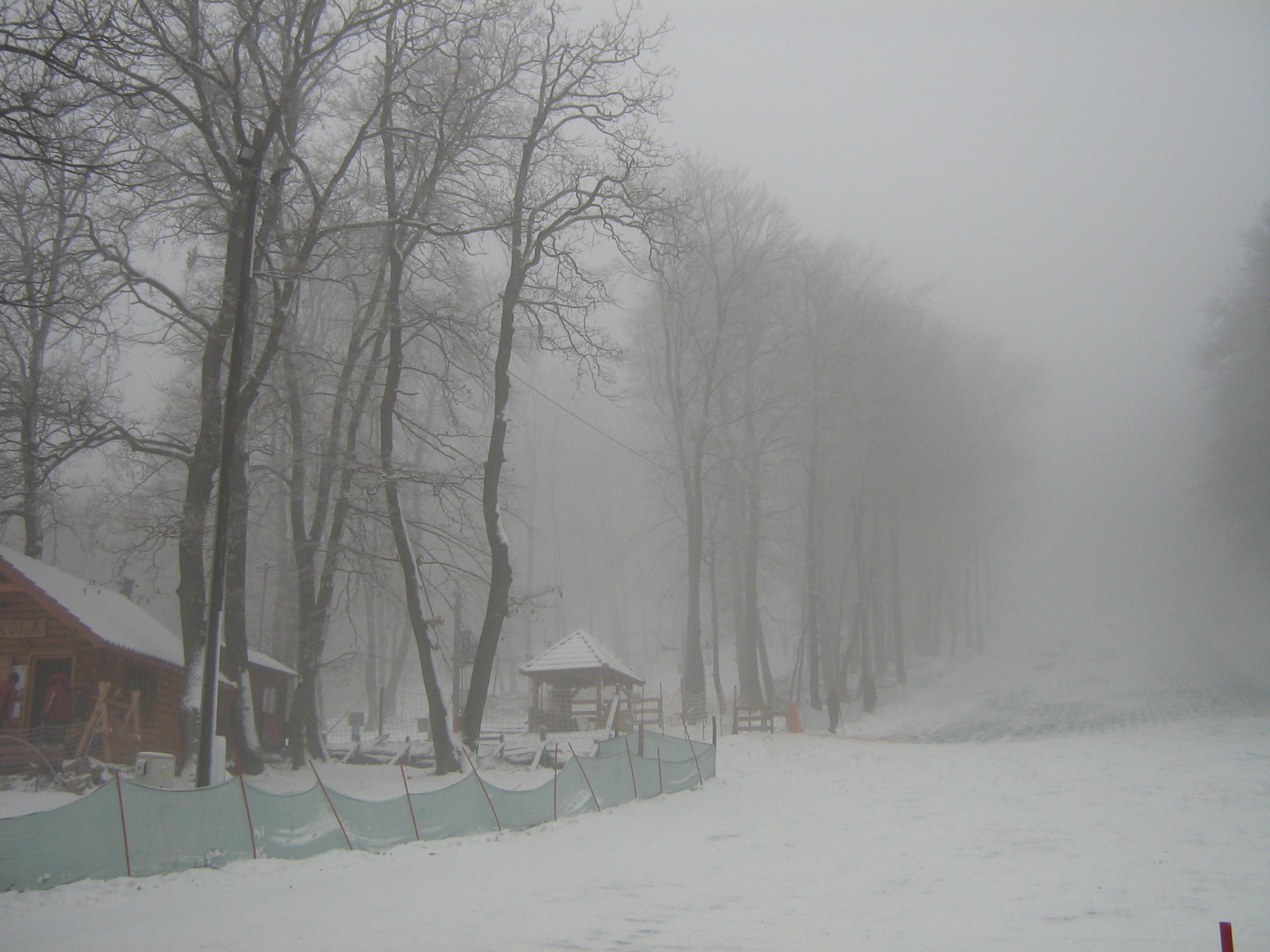 IMG-2640.JPG