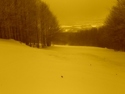 2012.01.22.-Kekesteto-004.jpg