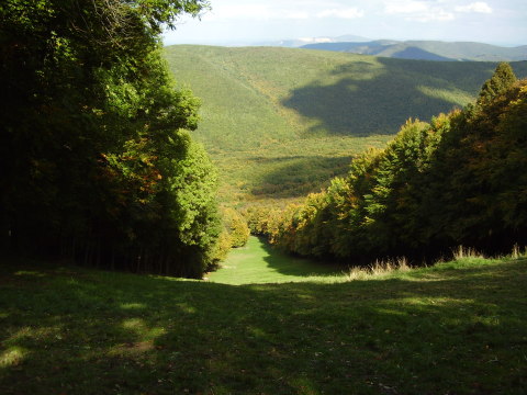 Sípálya teteje ősszel