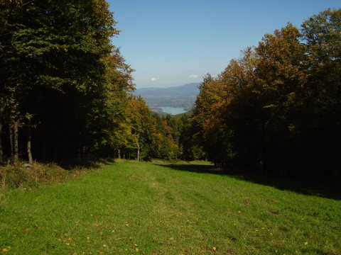 Kilátás a Dunára a dobogókői sípályáról