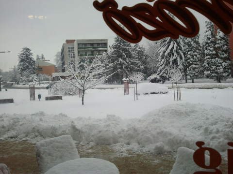 2013-01-17-08.34.13.jpg