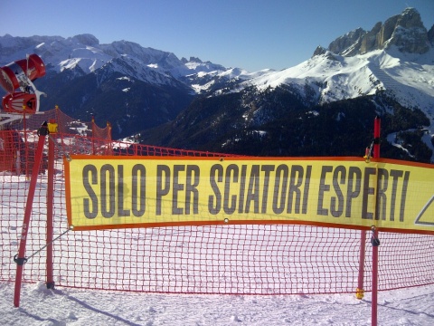 kizárólag tudósoknak