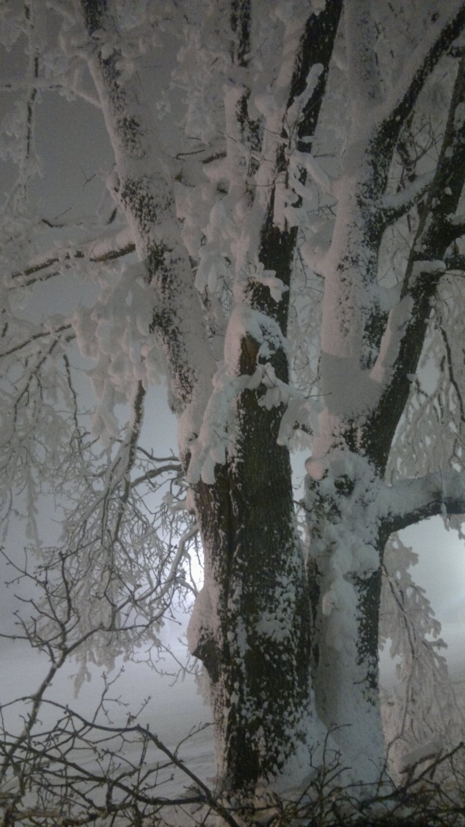 2013-12-19-2065.jpg