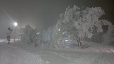 2013-12-19-2056.jpg