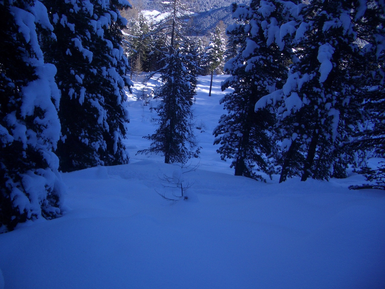 Itt, (ha nagyon fülelsz), csupán a fákról lepergő hó neszezését tudod meghallani.
