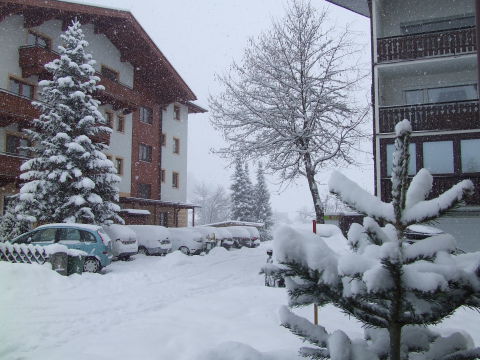 DSCF4708.JPG