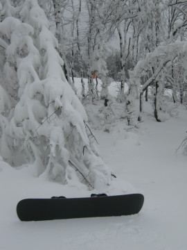 IMG-2316.JPG