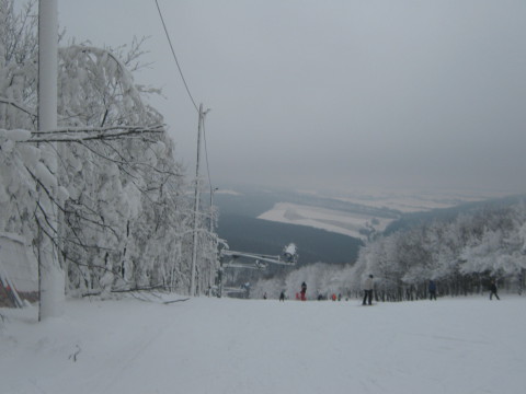 IMG-2318.JPG